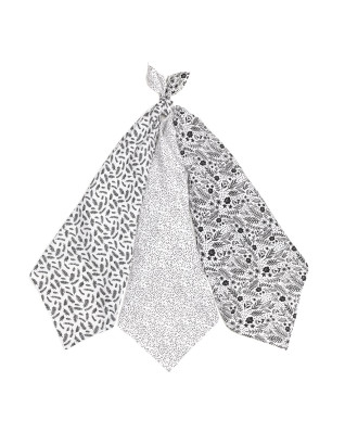 T-TOMI TETRA pleny HIGH QUALITY Black flowers